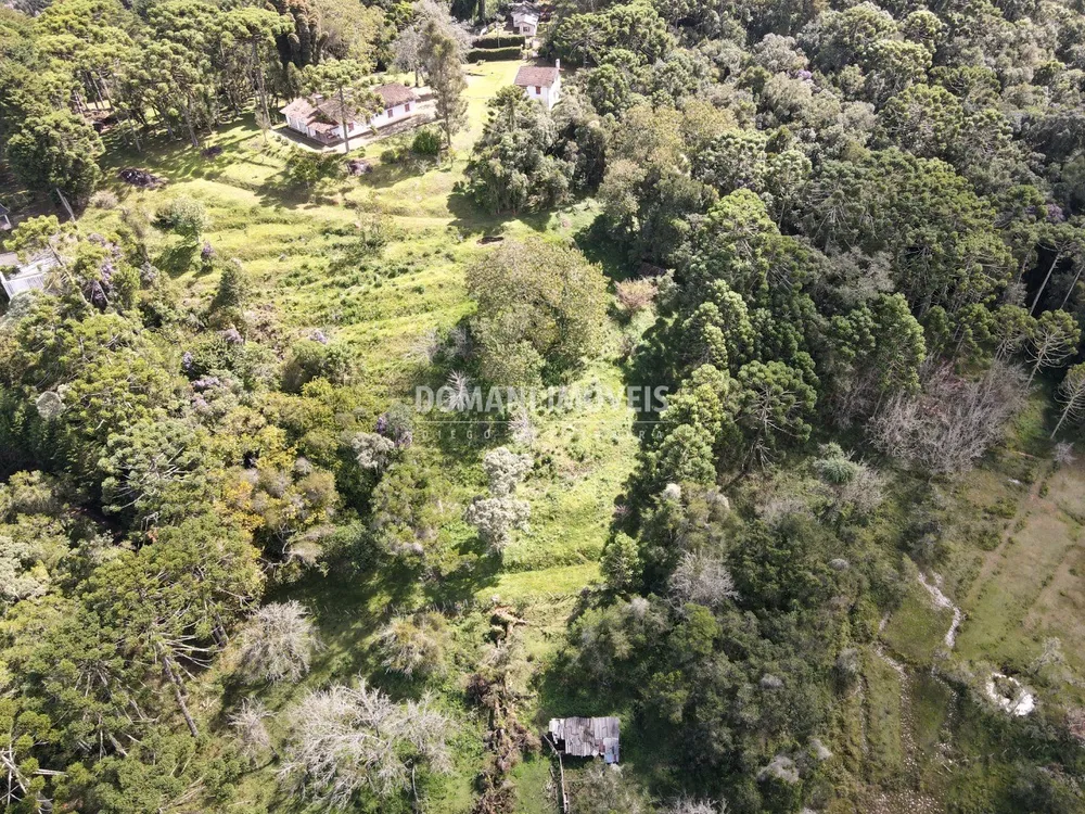 Terreno - Foto 4