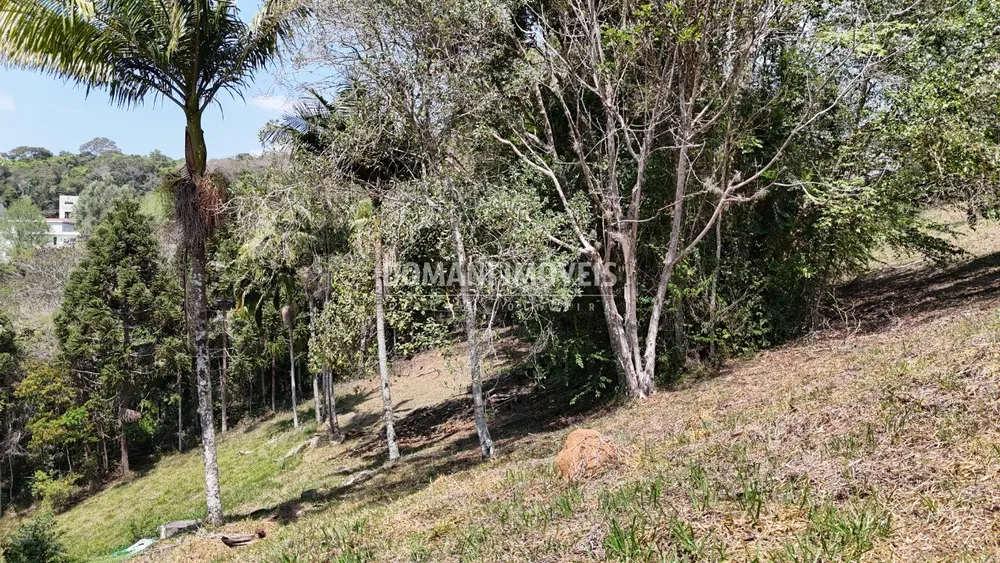 Terreno, 1215 m² - Foto 3