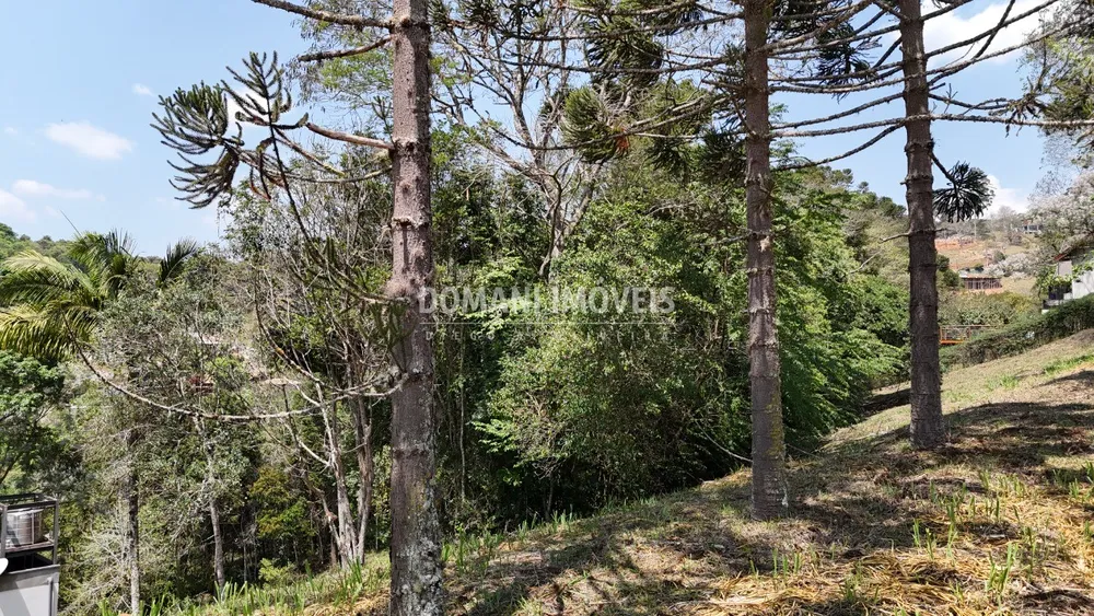 Terreno, 1215 m² - Foto 2