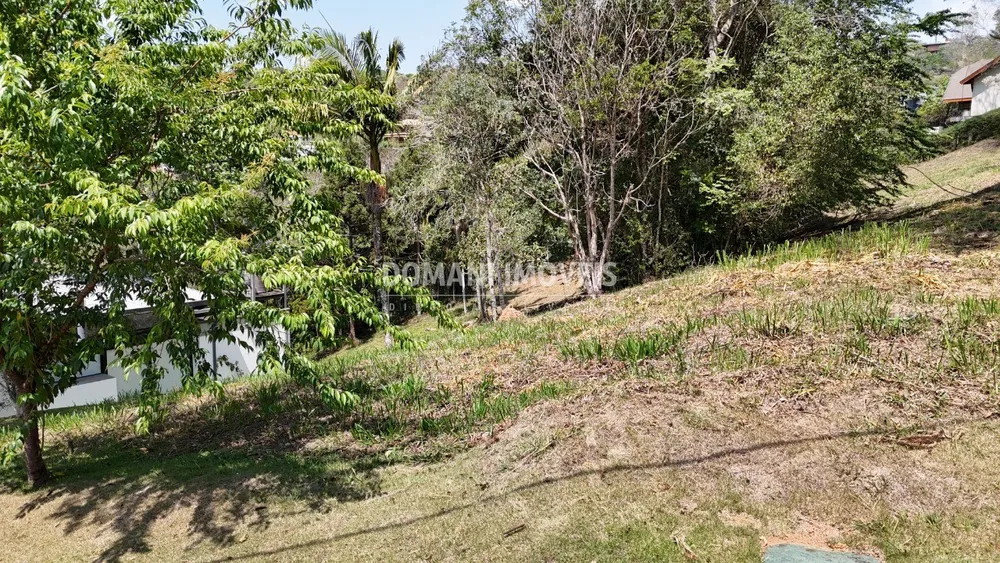Terreno, 1215 m² - Foto 4
