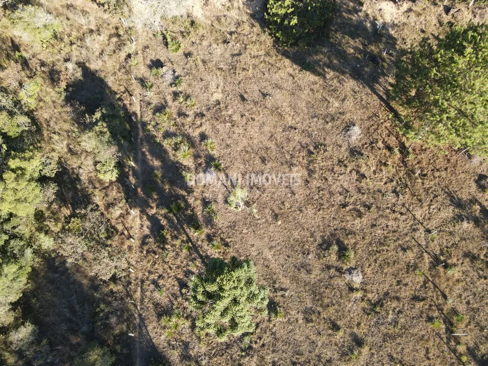 Terreno, 2700 m² - Foto 8