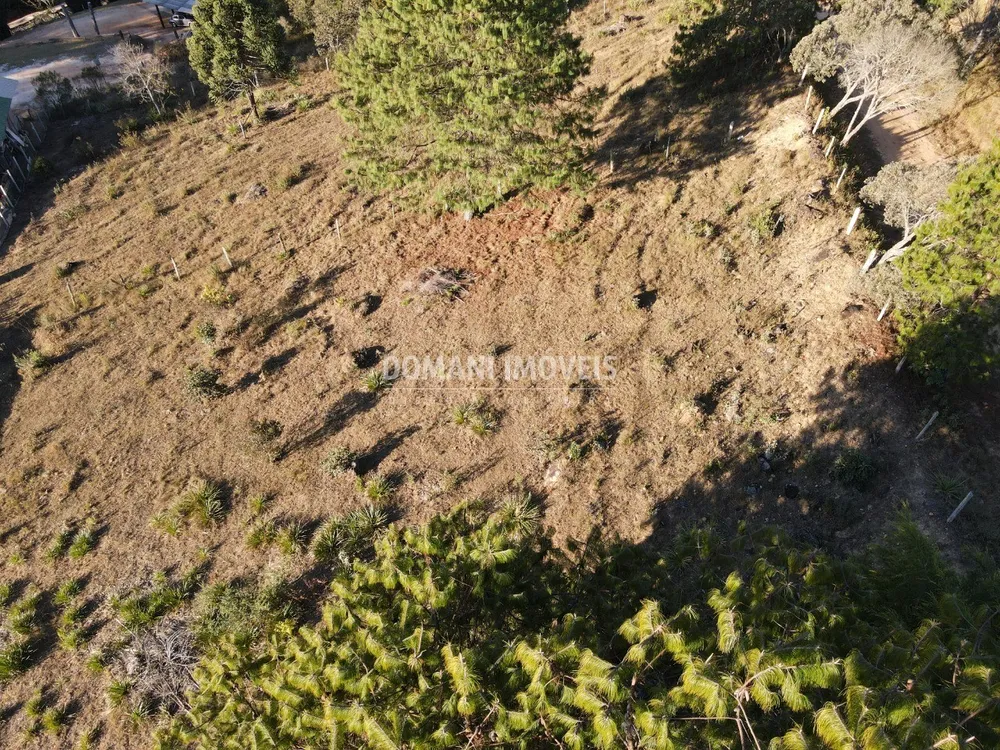 Terreno, 2700 m² - Foto 5