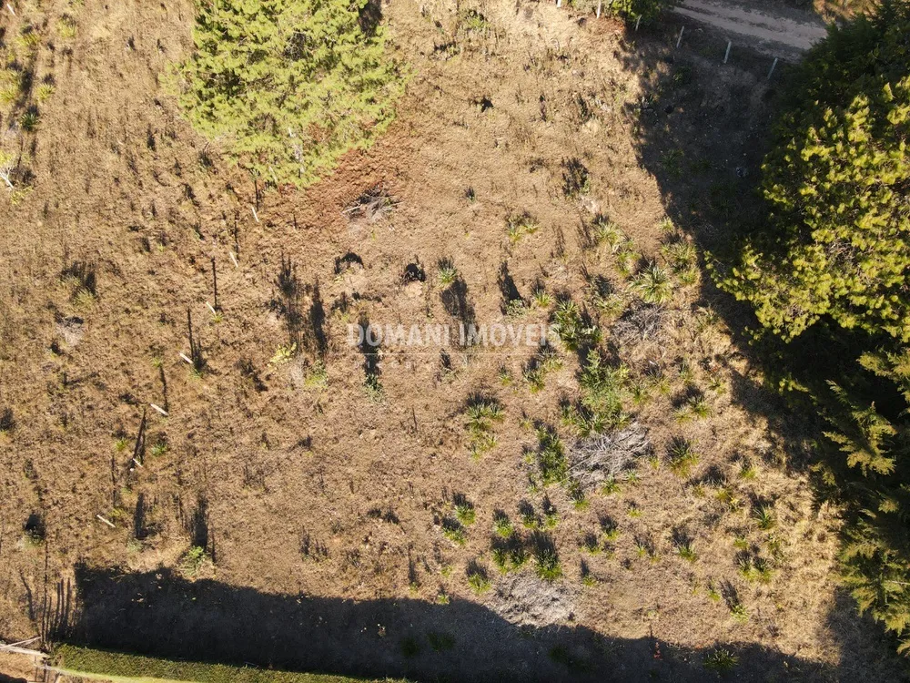 Terreno, 2700 m² - Foto 6