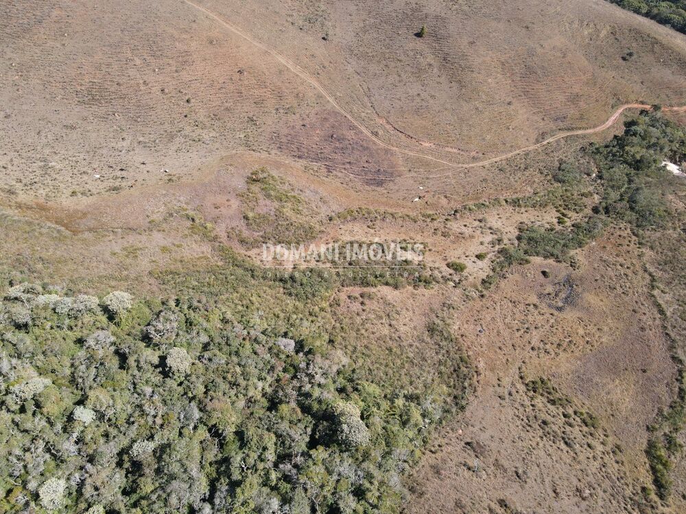 Terreno, 10 hectares - Foto 4