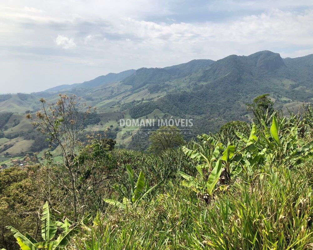 Terreno, 3 hectares - Foto 4