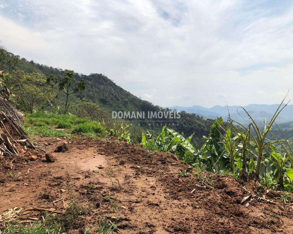 Terreno, 3 hectares - Foto 2