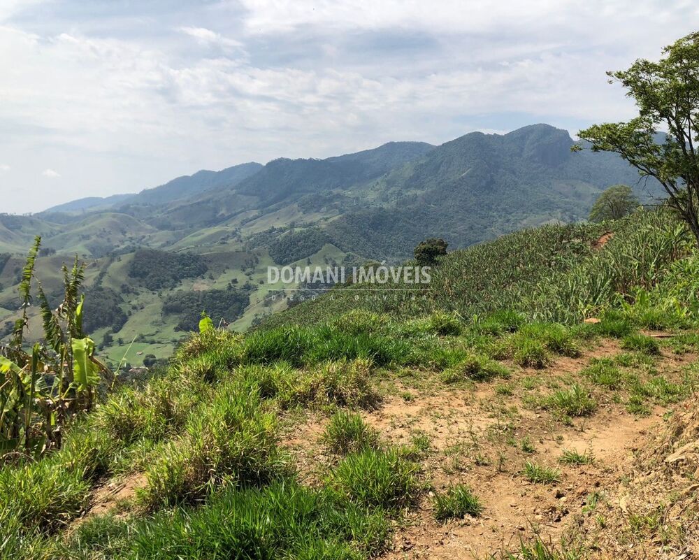 Terreno, 3 hectares - Foto 1
