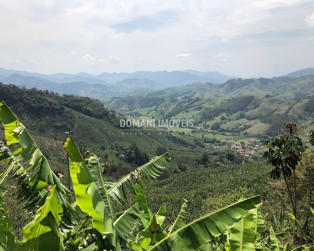 Terreno, 3 hectares - Foto 7