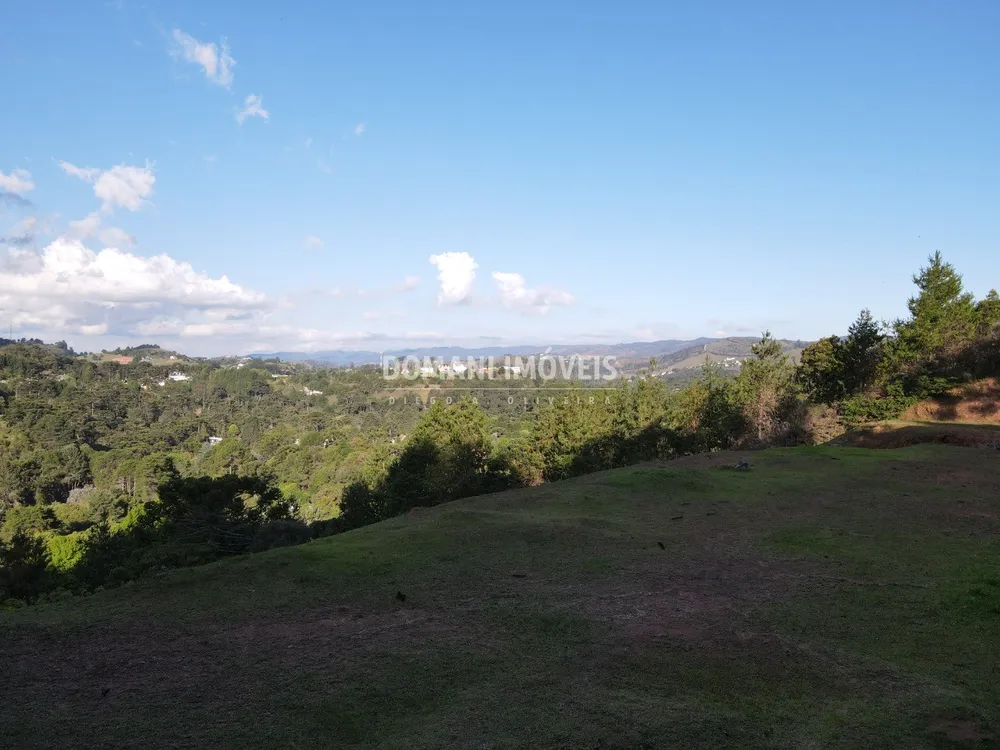 Terreno, 6150 m² - Foto 9