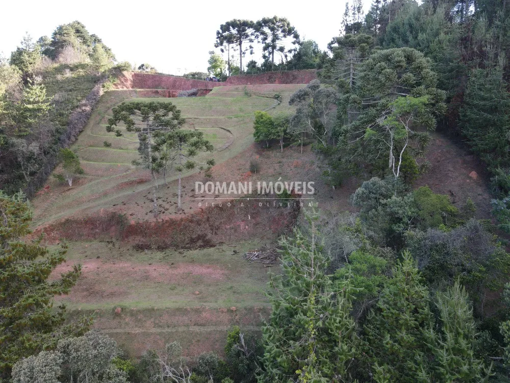 Terreno, 6150 m² - Foto 11