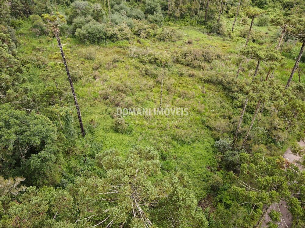 Terreno, 2 hectares - Foto 11