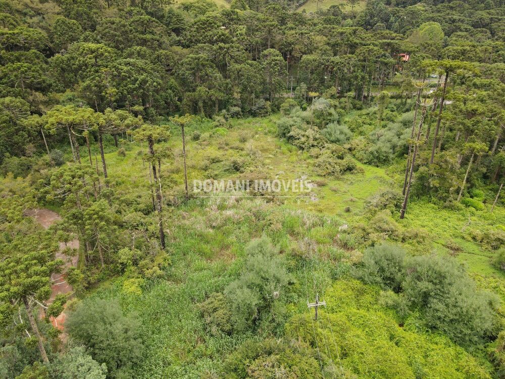 Terreno, 2 hectares - Foto 4