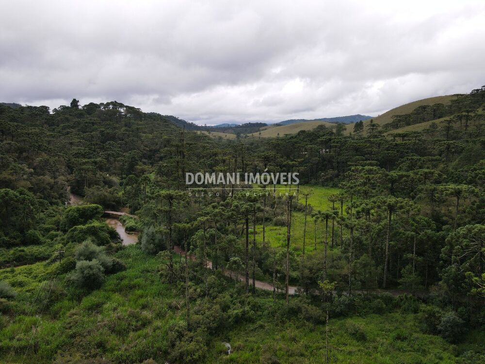 Terreno, 2 hectares - Foto 3