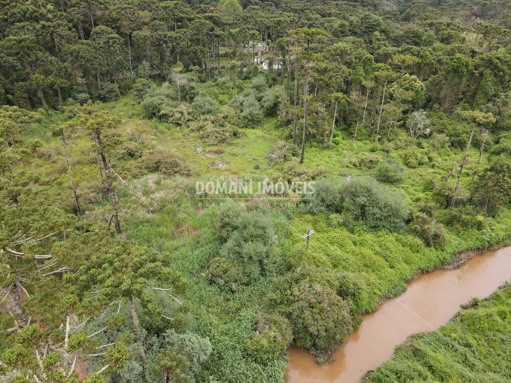 Terreno, 2 hectares - Foto 10