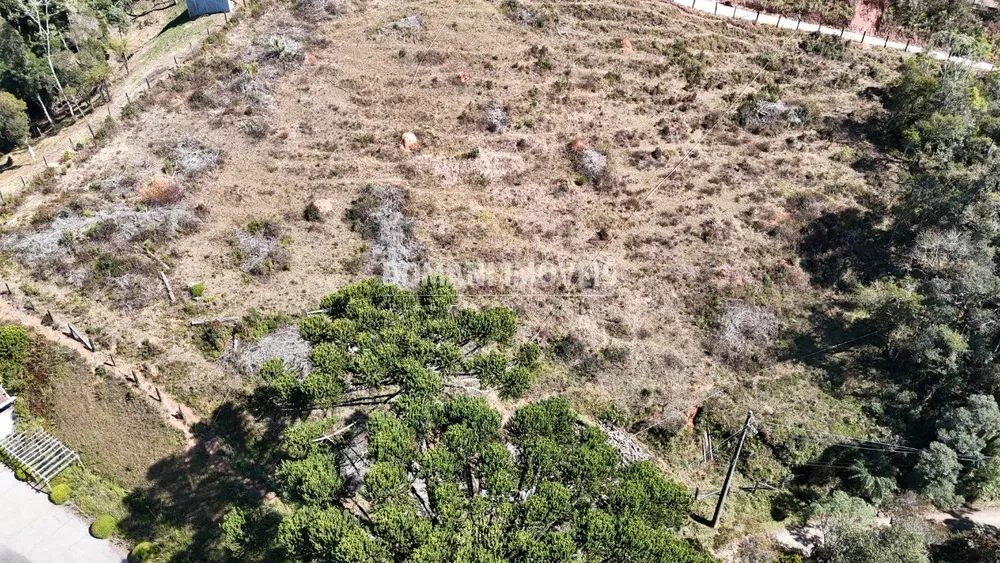 Terreno - Foto 6