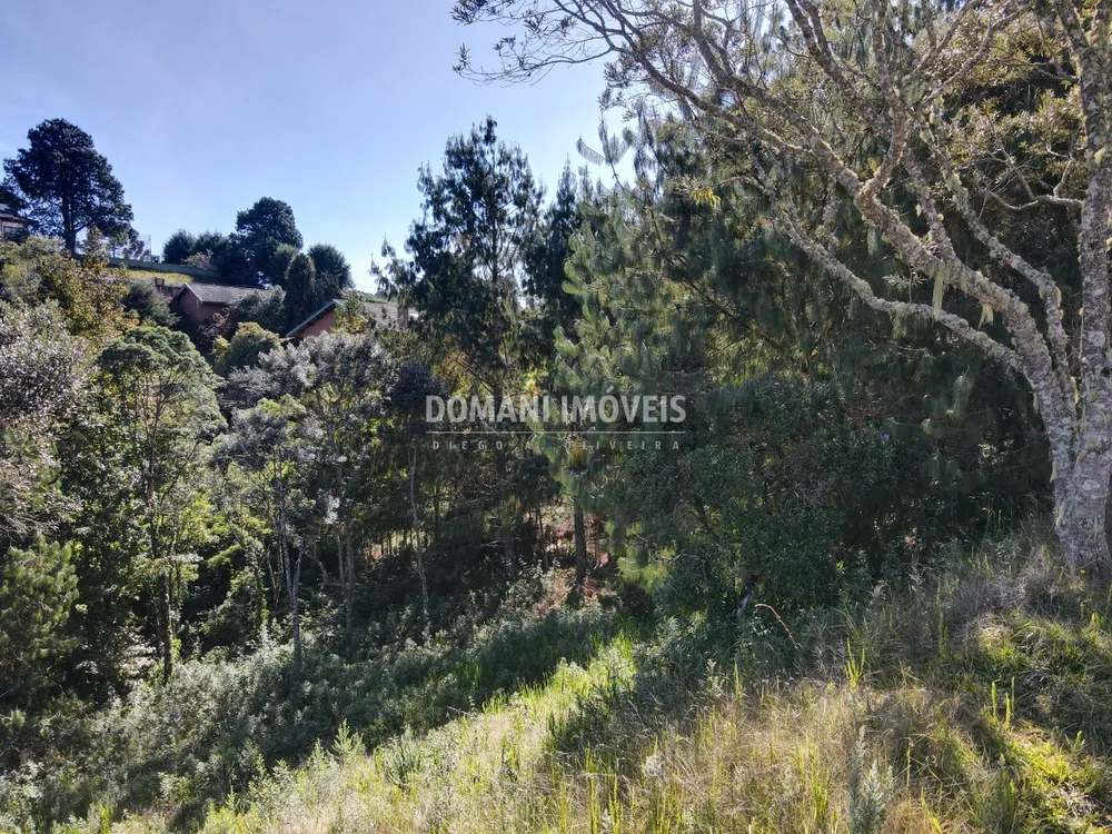 Terreno, 1215 m² - Foto 6