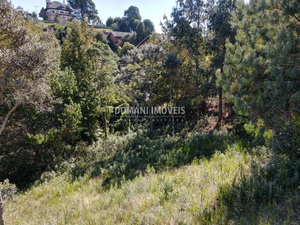 Terreno, 1215 m² - Foto 3