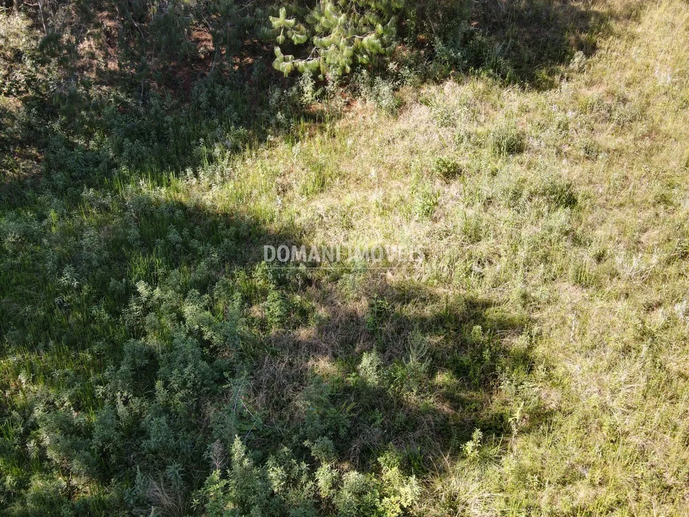 Terreno, 1215 m² - Foto 5