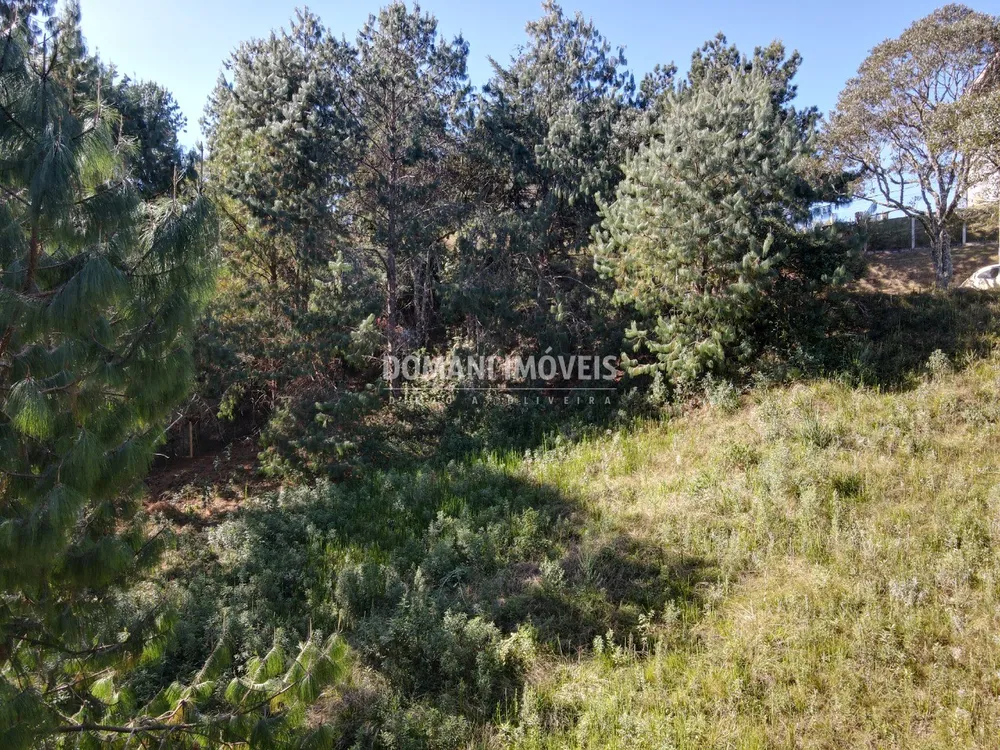 Terreno, 1215 m² - Foto 1