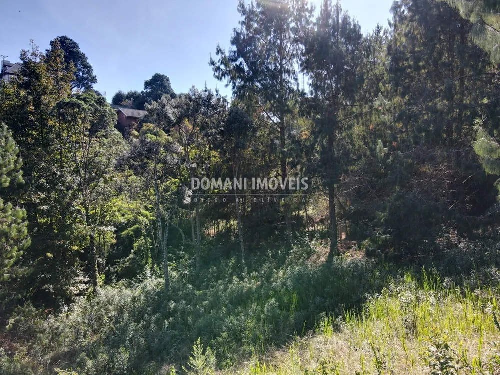 Terreno, 1215 m² - Foto 8
