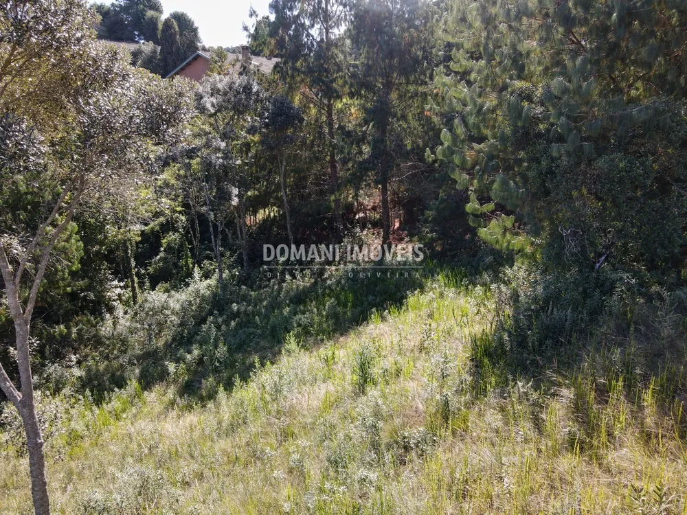 Terreno, 1215 m² - Foto 4