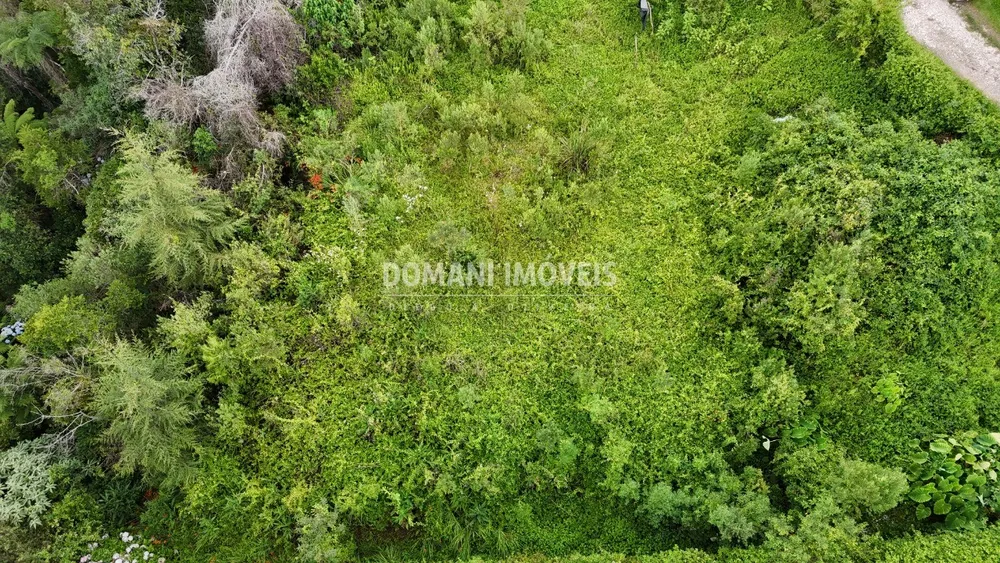 Terreno, 1590 m² - Foto 3