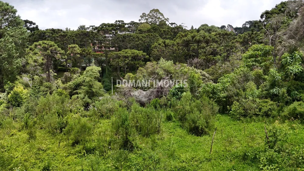 Terreno, 1590 m² - Foto 1