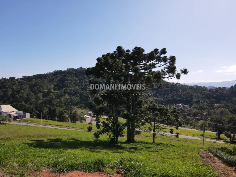 Terreno, 1000 m² - Foto 5