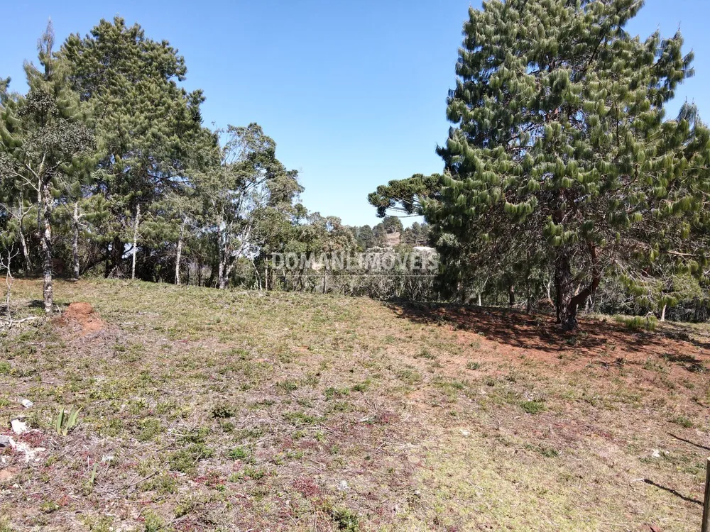 Terreno, 1680 m² - Foto 2