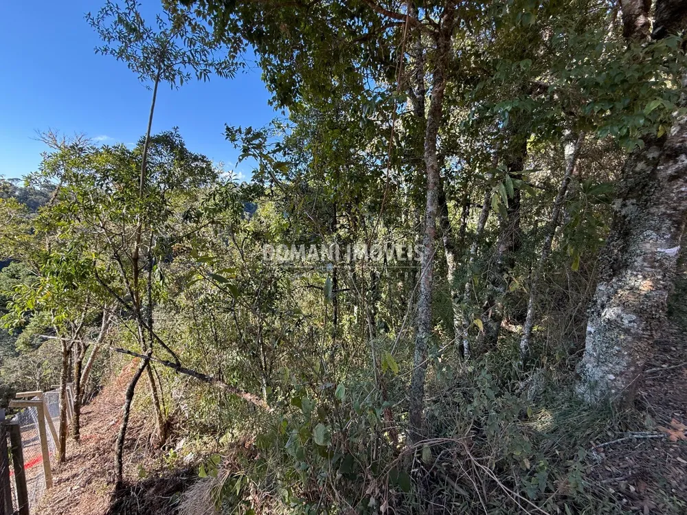 Terreno, 1275 m² - Foto 4