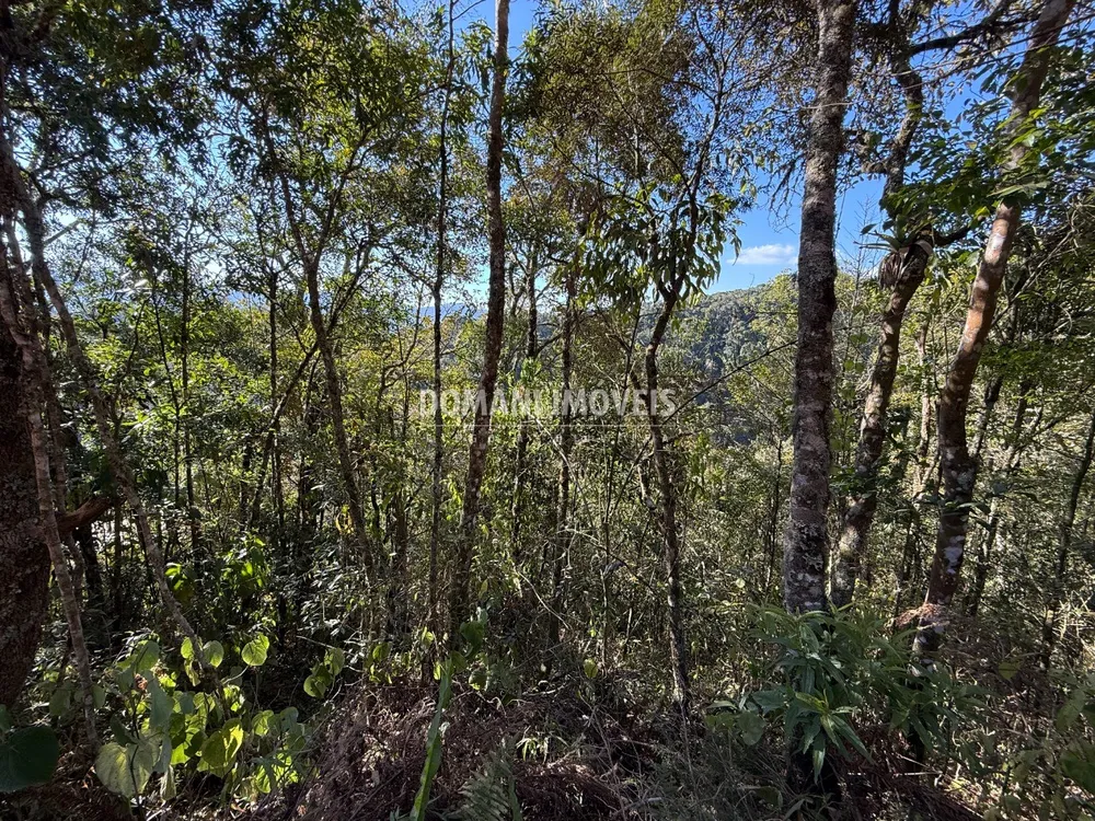 Terreno, 1275 m² - Foto 3