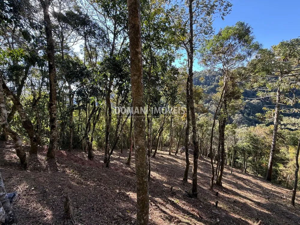 Terreno, 1210 m² - Foto 6