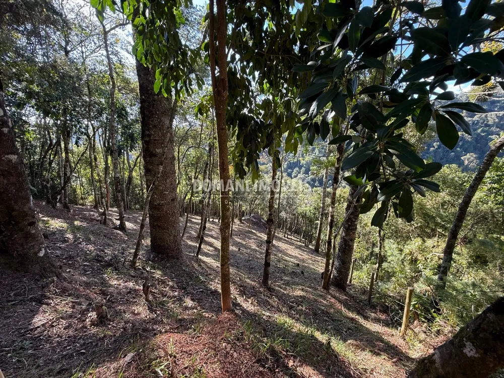 Terreno, 1210 m² - Foto 4