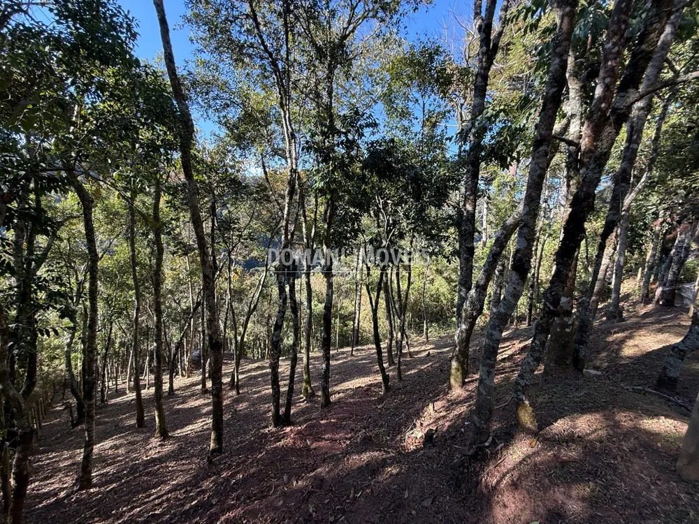 Terreno, 1210 m² - Foto 3