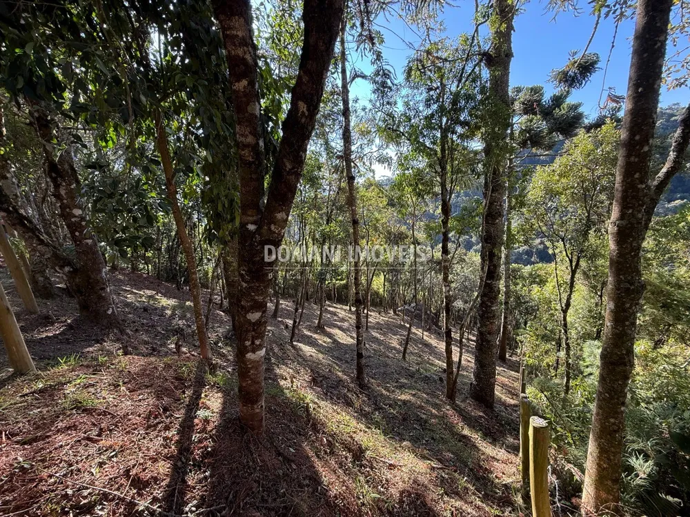 Terreno, 1210 m² - Foto 2