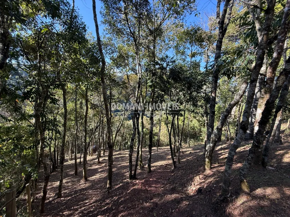 Terreno, 1210 m² - Foto 7