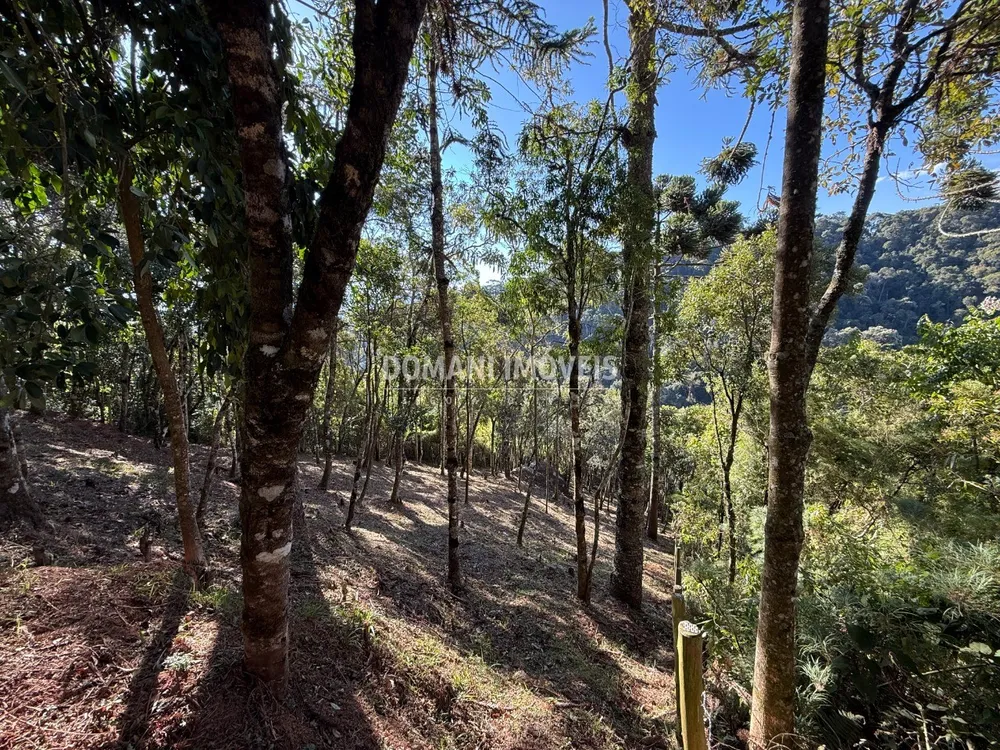 Terreno, 1210 m² - Foto 8