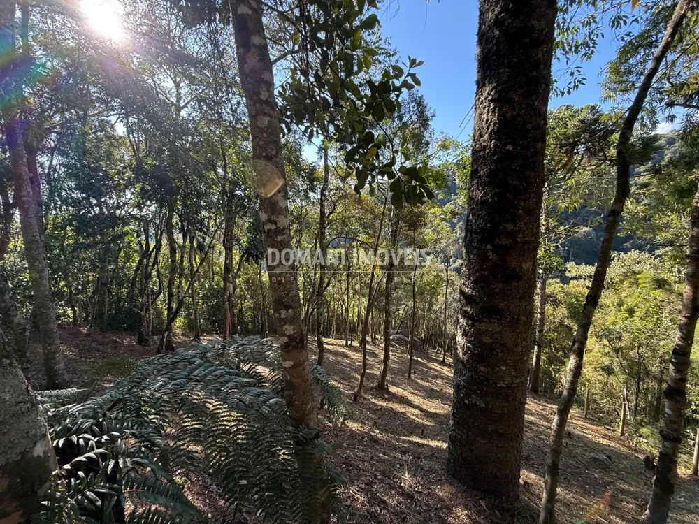 Terreno, 1210 m² - Foto 5