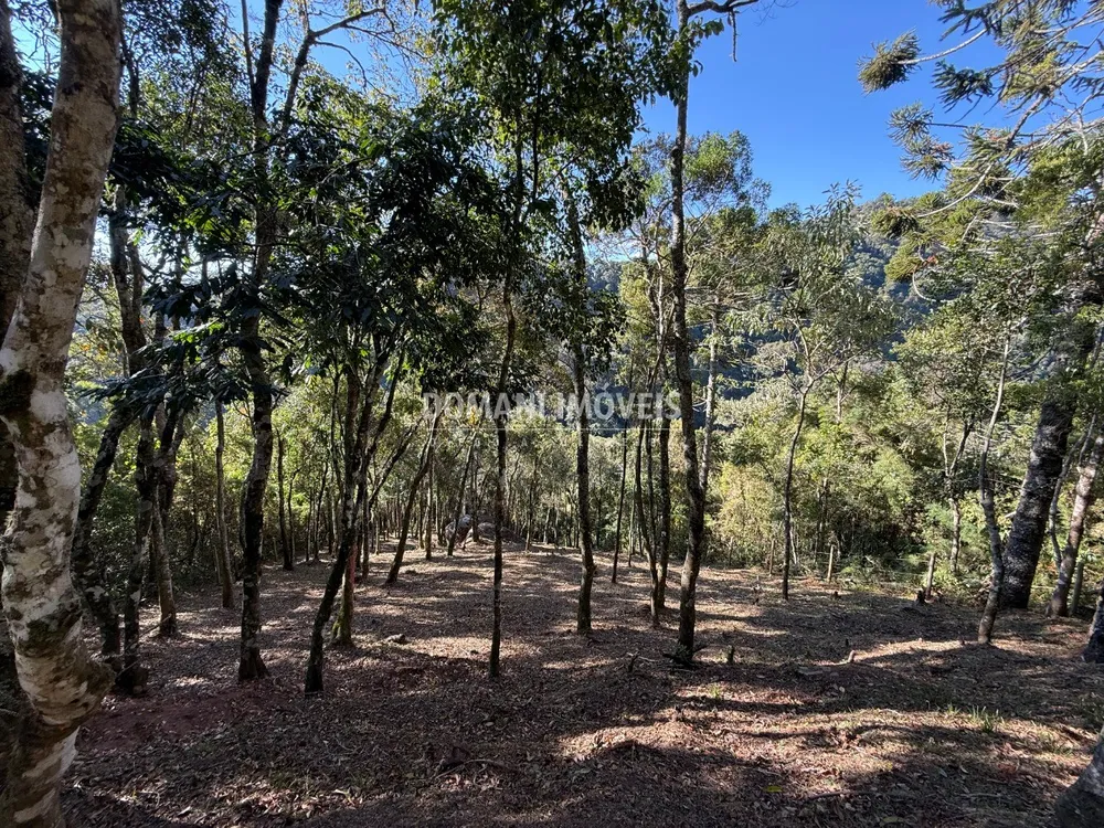 Terreno, 1210 m² - Foto 1