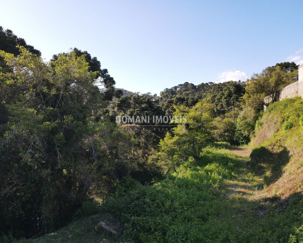 Terreno, 750 m² - Foto 4