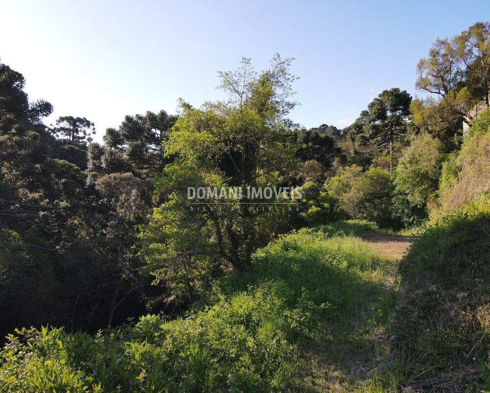 Terreno, 750 m² - Foto 1