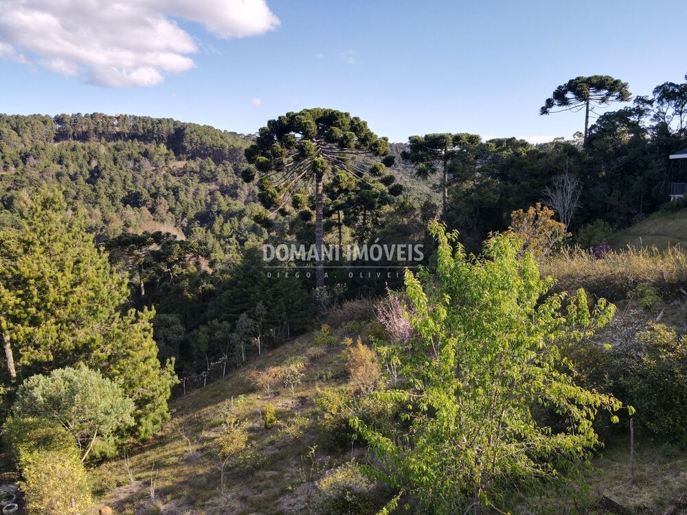 Terreno, 1210 m² - Foto 1