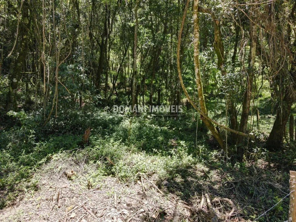 Terreno, 970 m² - Foto 5