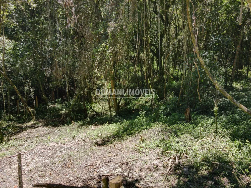 Terreno, 970 m² - Foto 1