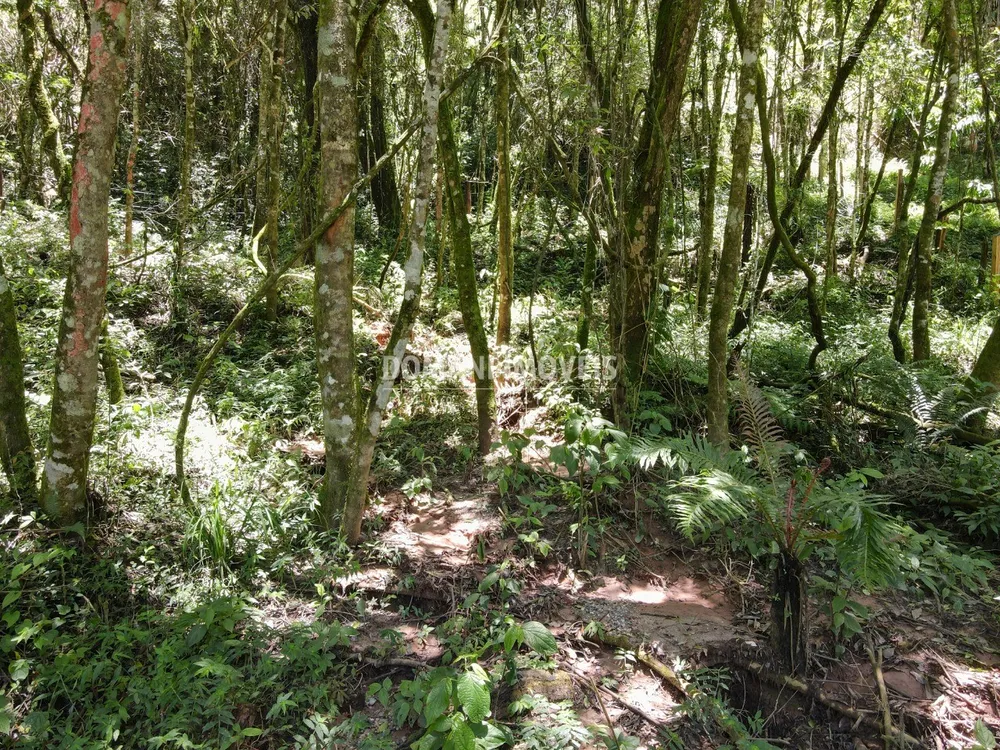 Terreno, 970 m² - Foto 6