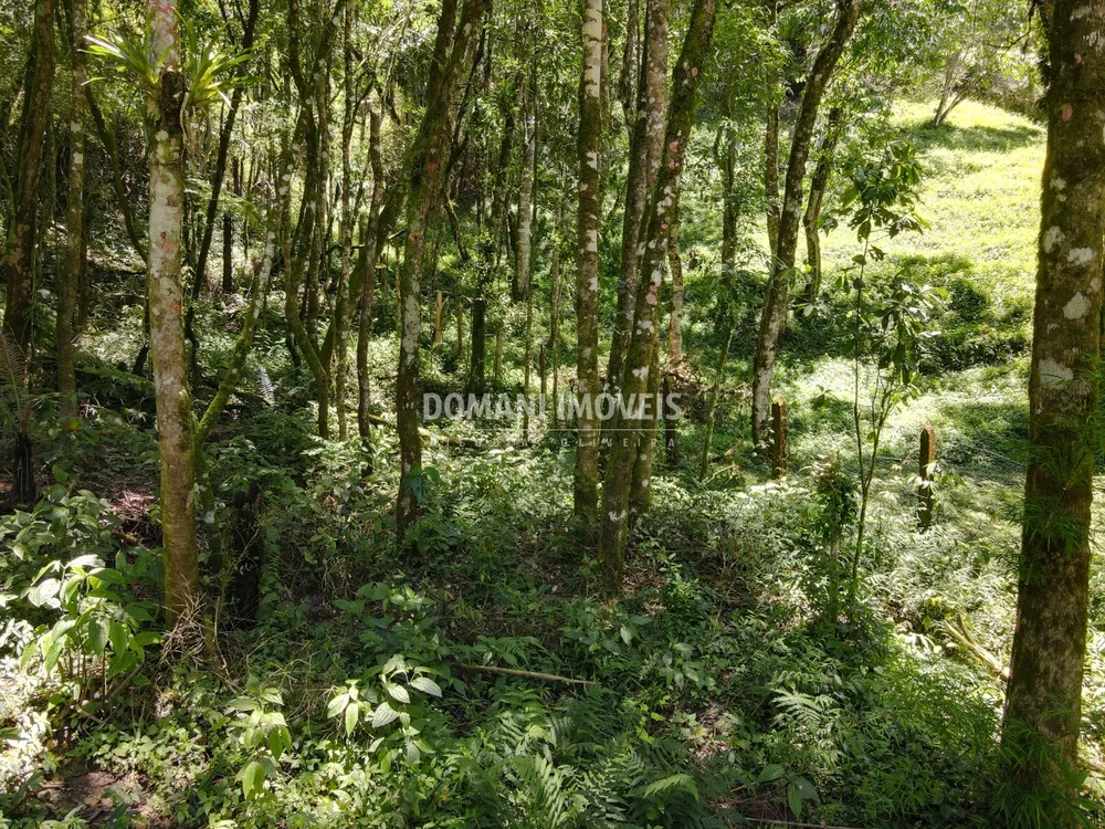 Terreno, 970 m² - Foto 3