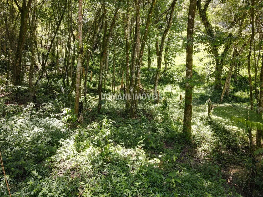 Terreno, 970 m² - Foto 8