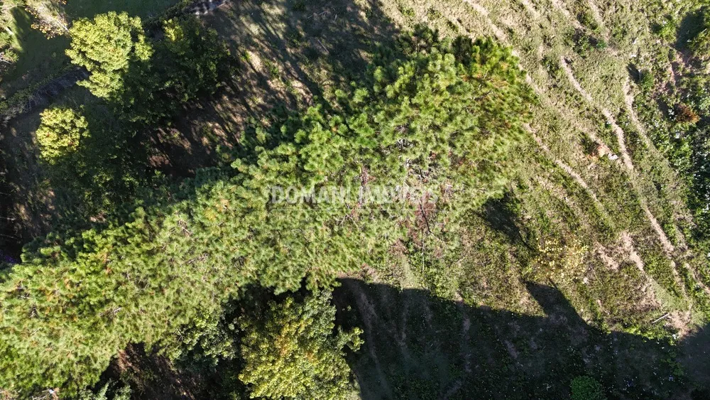 Terreno, 1252 m² - Foto 5