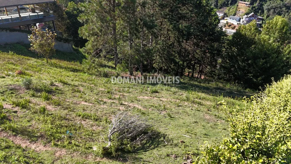 Terreno, 1252 m² - Foto 7