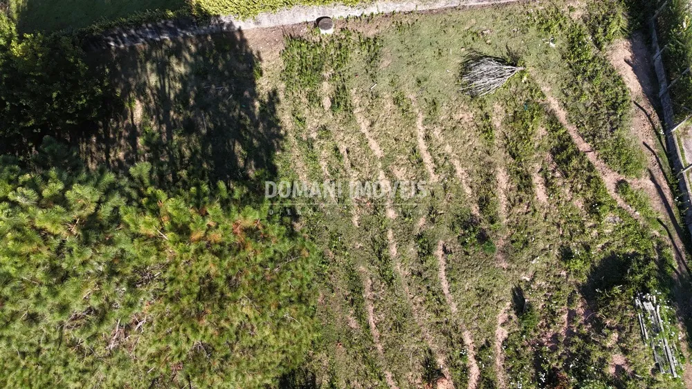 Terreno, 1252 m² - Foto 4